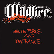 Brute Force And Ignorance